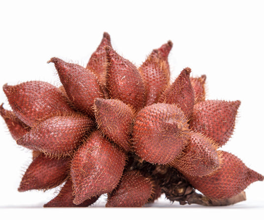 Sindoor Seed | Annatto Seed | 50 gm | Bixa Orellana